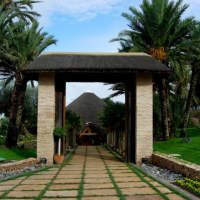 Finca Buenavista